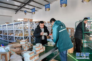 打造產(chǎn)業(yè)園區(qū)，賦能農(nóng)產(chǎn)品銷售，構(gòu)建電子商務(wù)新生態(tài)